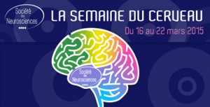 Semaine du cerveau 2015 (affiche)