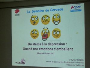 conf stress Berre 150317 - 1